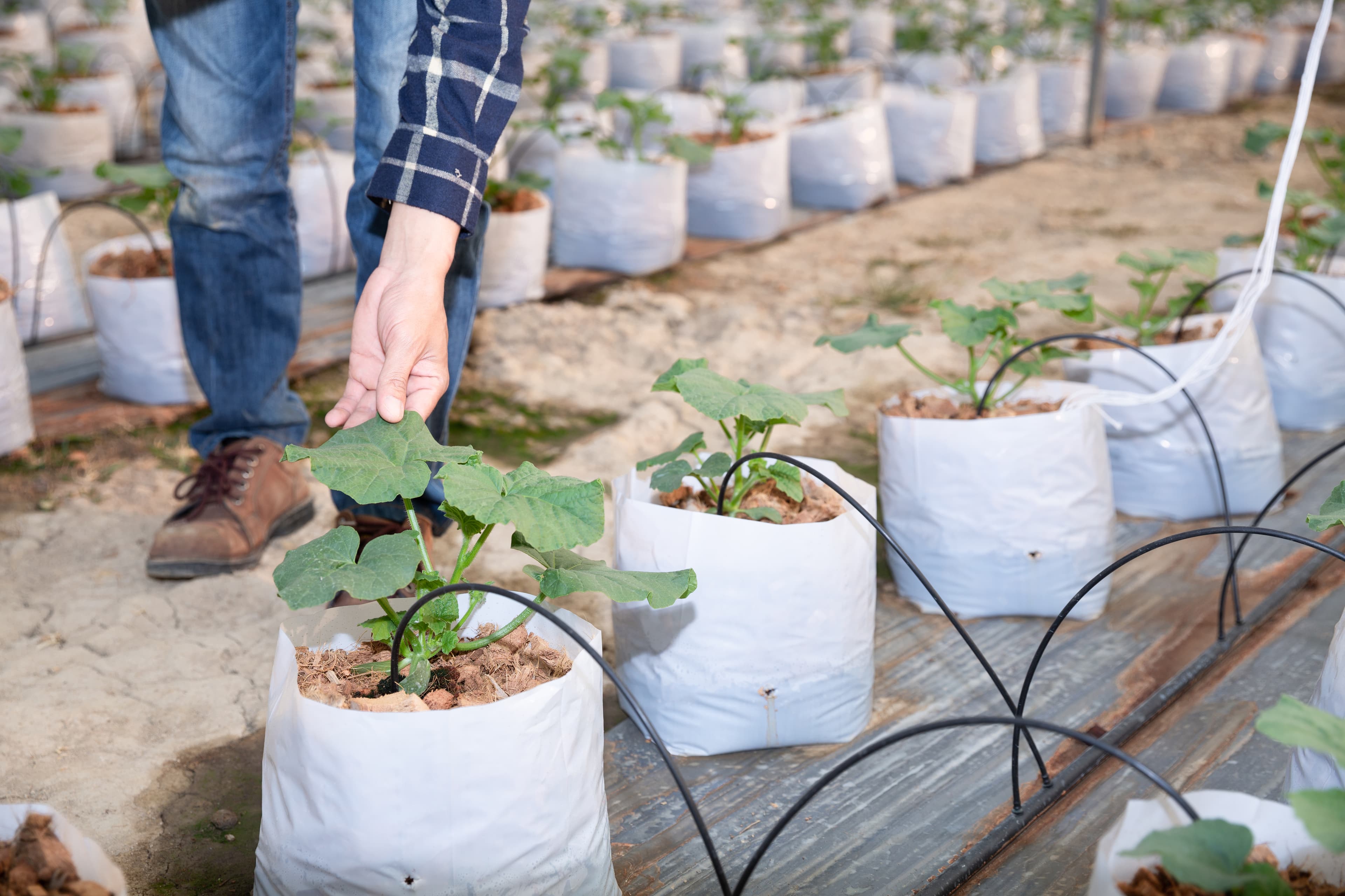 Agricultural Greenhouse Accessories and Climate Control Tools