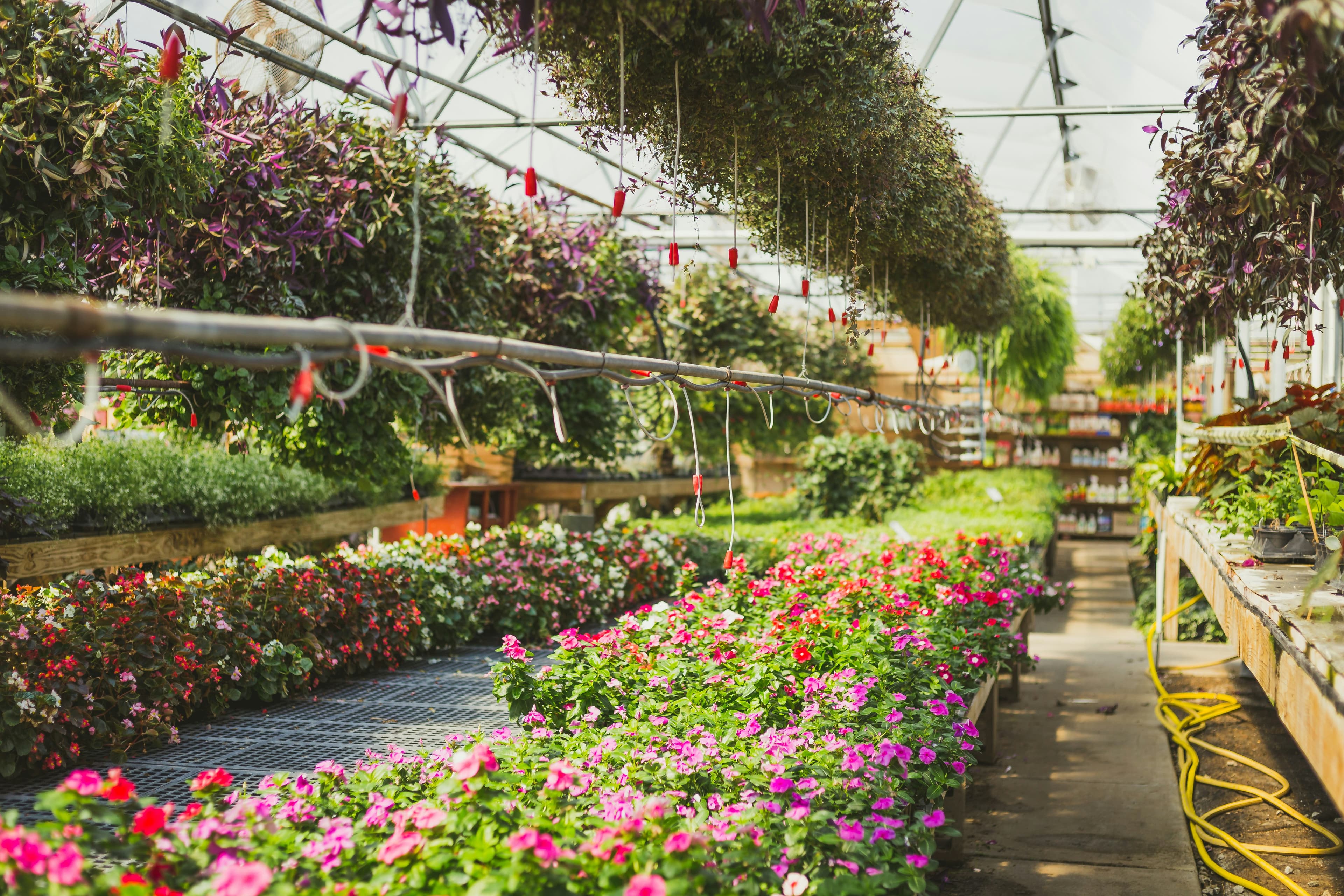 Automated Hi-Tech Nursery Solutions for Seedling Production