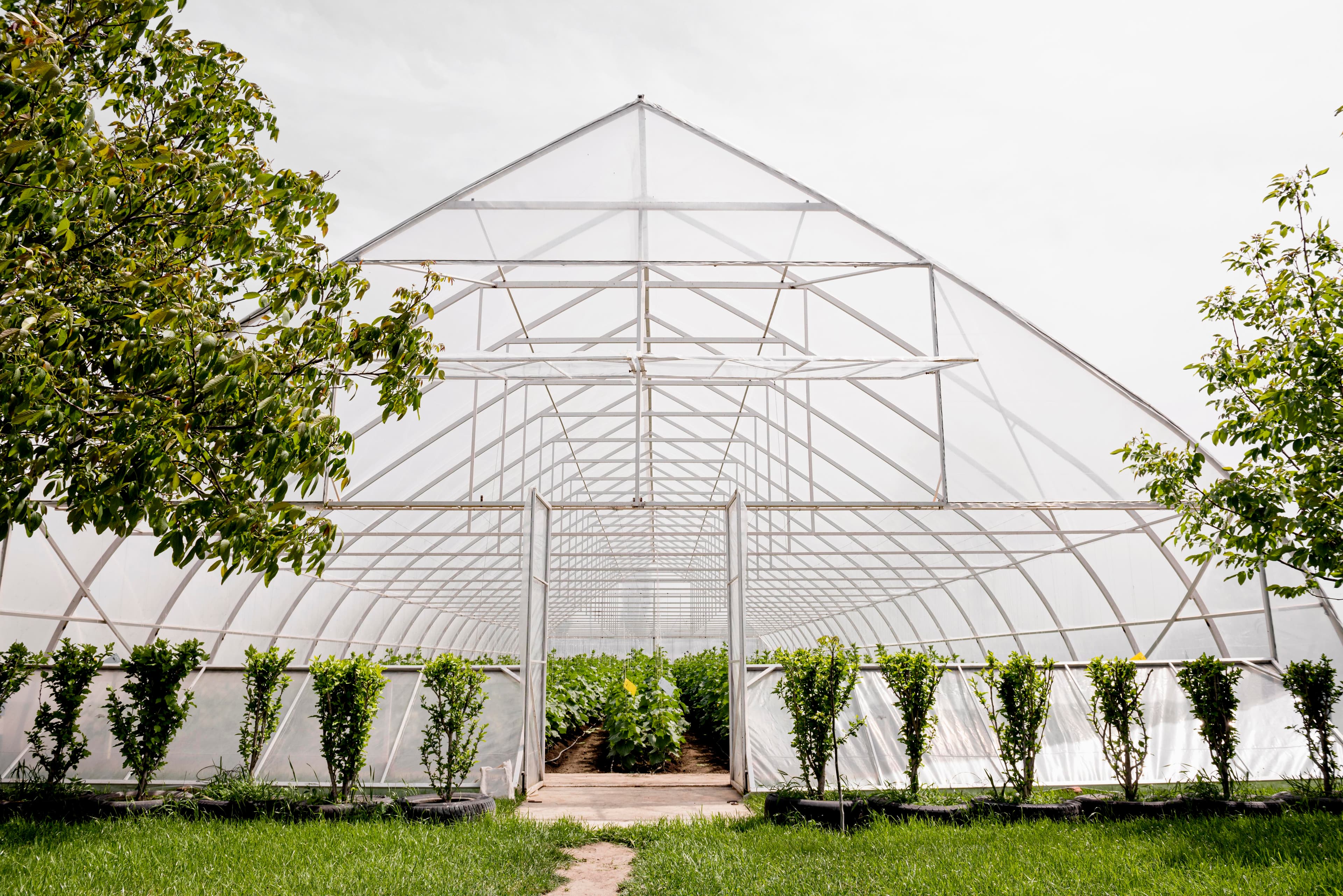 Shade Net House Construction for Crop Protection India