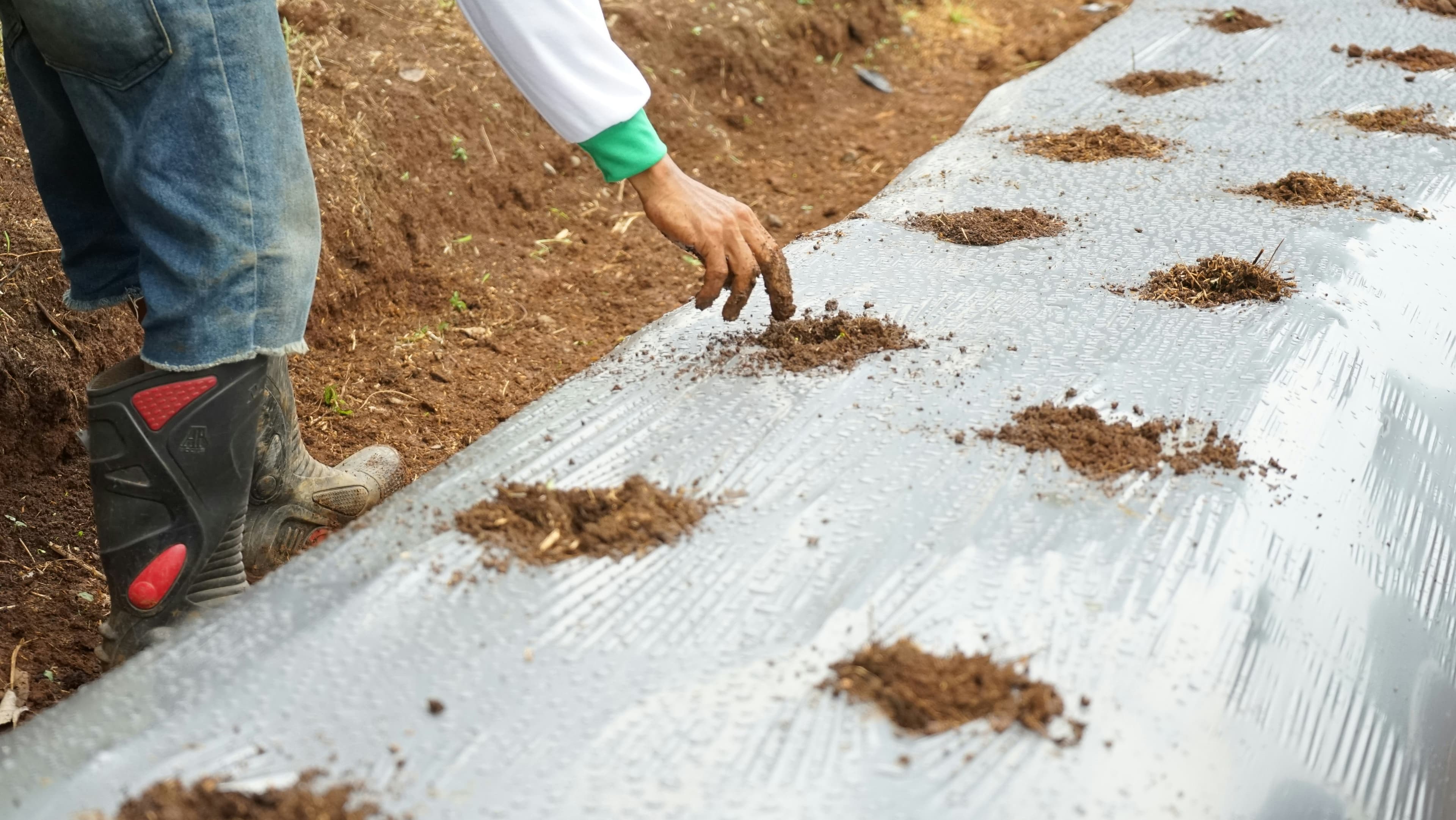 Mulch Film Innovation